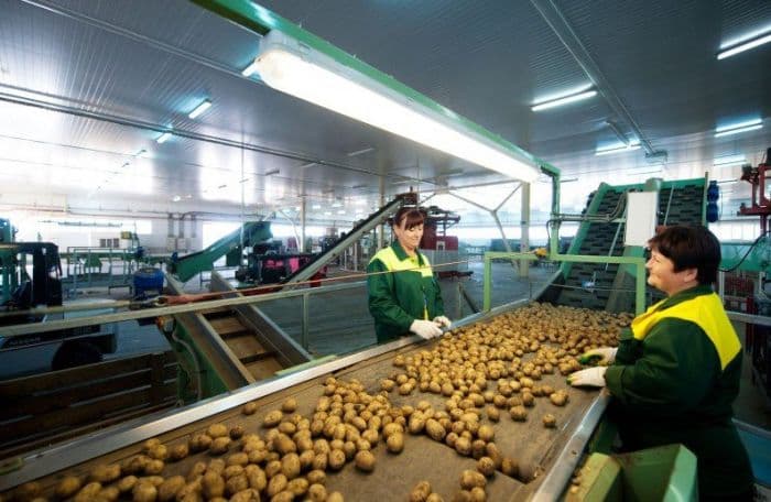Фото условий